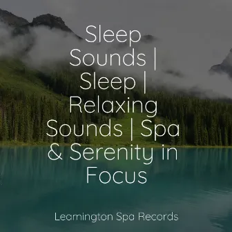 Sleep Sounds | Sleep | Relaxing Sounds | Spa & Serenity in Focus by Música relaxante