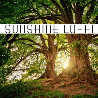 Sunshine Lo-Fi by Roberto Milani