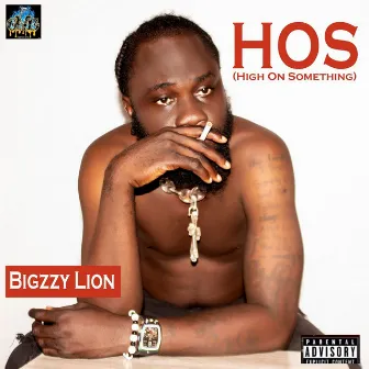 HOS (High On Something) by Bigzzy Lion