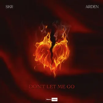 Don't Let Me Go by Arden