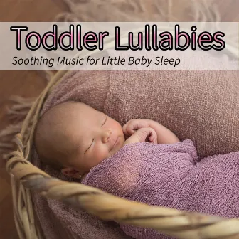 Toddler Lullabies: Soothing Music for Little Baby Sleep by Sleeping Baby Songs