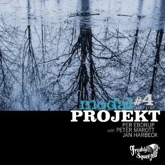 Nordic Breeze (Edit) by modal PROJEKT