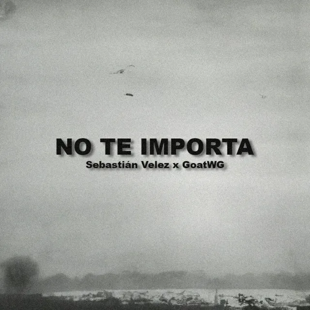 No Te Importa