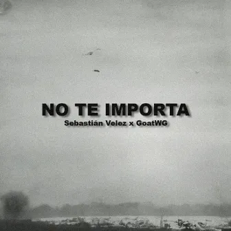 No Te Importa by GoatWG