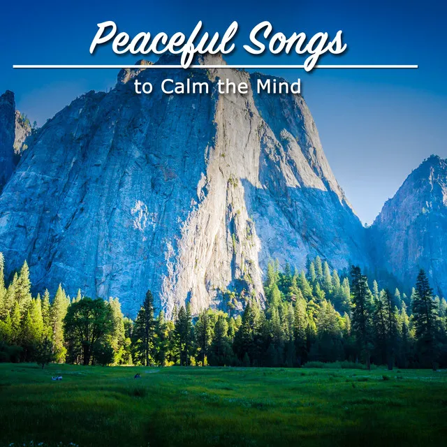 #21 Peaceful Songs to Calm the Mind