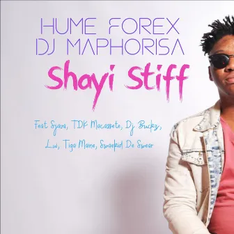 Shayi Stiff by Hume Forex