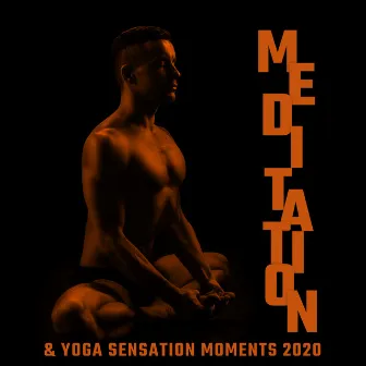 Meditation & Yoga Sensation Moments 2020 by Unknown Artist