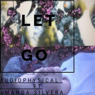 Let Go by Audiophysical