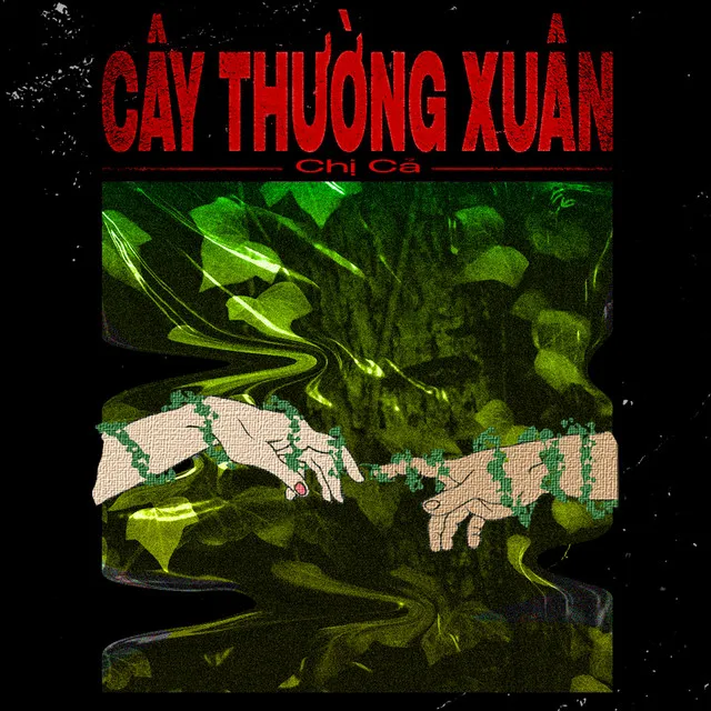 Cây Thường Xuân