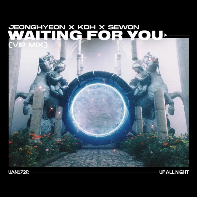 Waiting for You - VIP Mix