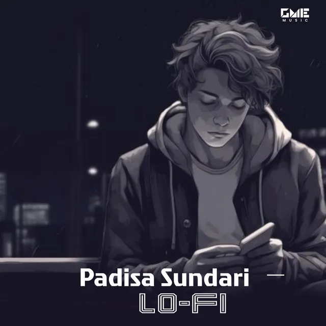 Padisa Sundari - Lo-Fi