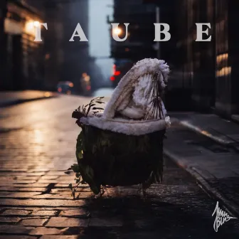 Taube by MC Krab