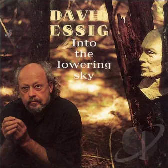 Into the Lowering Sky by David Essig