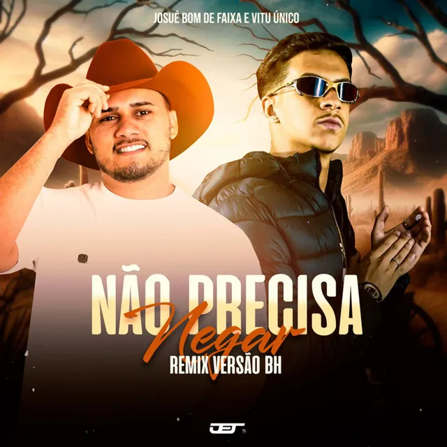 Nao Precisa Negar (Versao Bh)