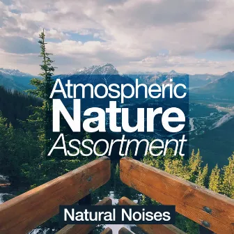 Atmospheric Nature Assortment by Natural Noises