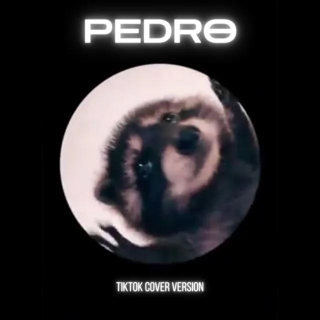 Pedro (TikTok Cover Version)