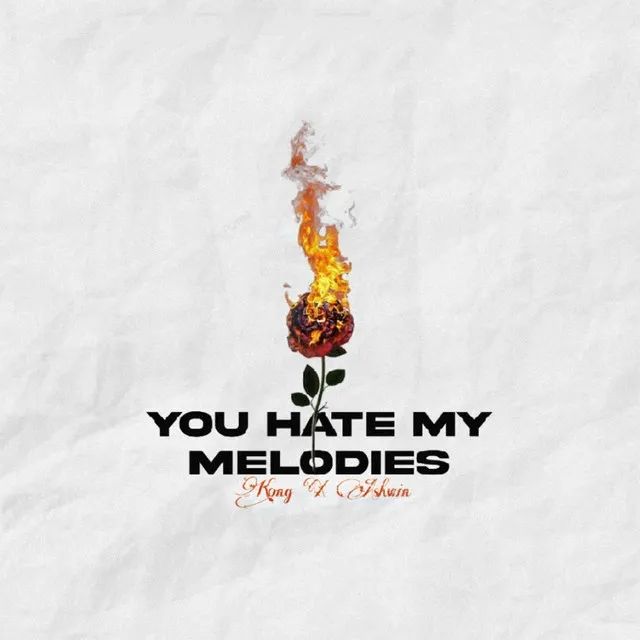 You Hate My Melodies