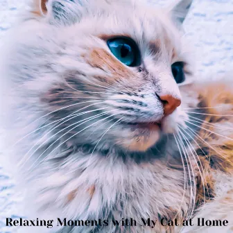 Relaxing Moments with My Cat at Home by Music for Cat