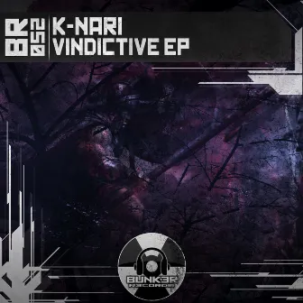 Vindictive EP by K-Nari