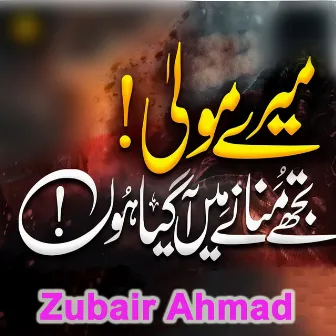 Mere Mola Tujhey Manany Mai Agaya Hun by Zubair Ahmad