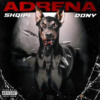 Adrena by Dony Gk