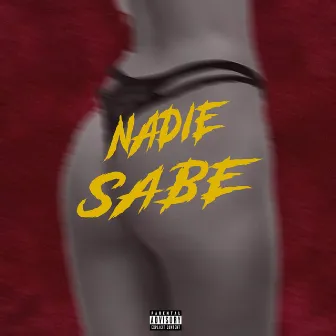 NADIE SABE by IMK