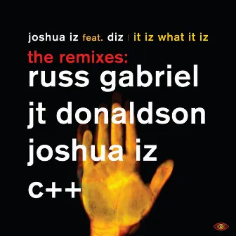 It Iz What It Iz Remixes by Joshua Iz