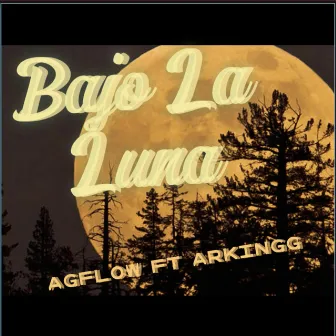 Bajo la luna by AGFlow