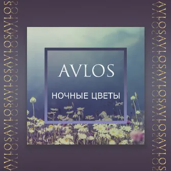 Ночные цветы by Avlos