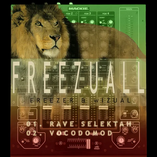 Project Freezuall