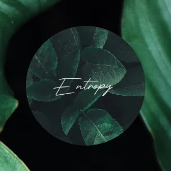 Entropy by Rubix