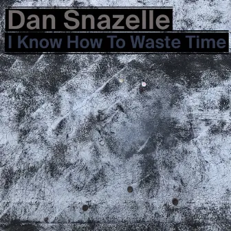 I Know How to Waste Time by Dan Snazelle