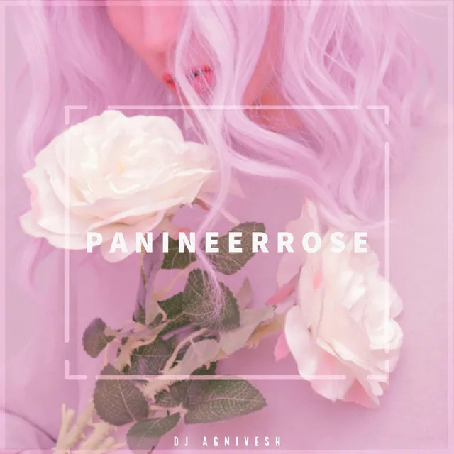 Panineer Rose