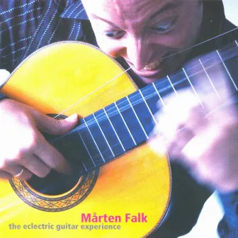 Eclectric Guitar Experience by Marten Falk