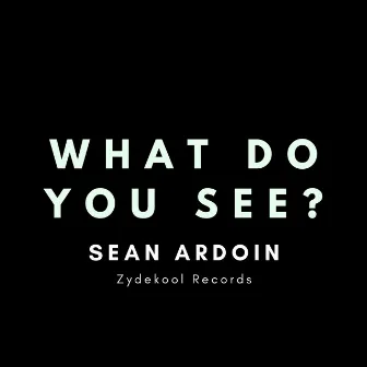 What Do You See by Sean Ardoin