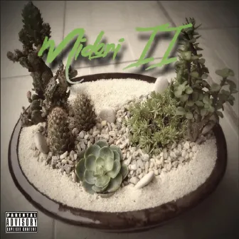 Midori 2 by Mr. Verde