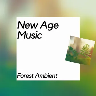 New Age Music, Forest Ambient by Nature Meditation Channel