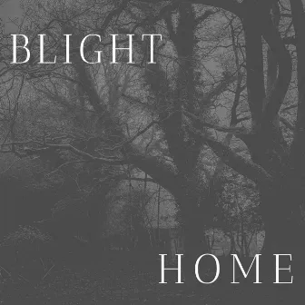 Home by Blight CA