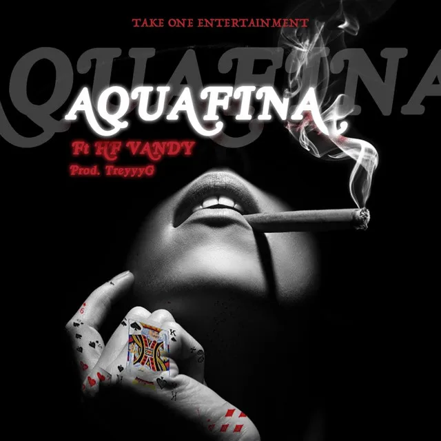 Aquafinna