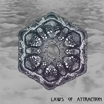 Laws of Attraction by Thaddeus David