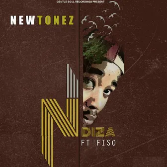 Ndiza by NewTonez