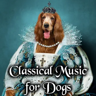 Classical Music for Dogs by Soothing Dog Sounds