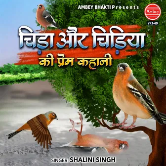 Chida Or Chidiya Ki Prem Kahani by Shalini Singh