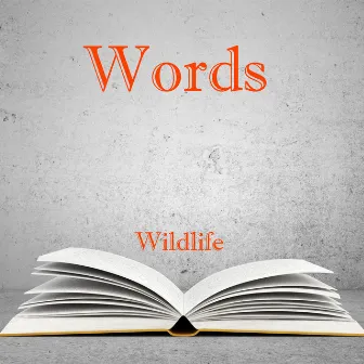 Words by Wildlife