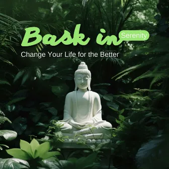 Bask in Serenity: Change Your Life for the Better by Summer Meditation