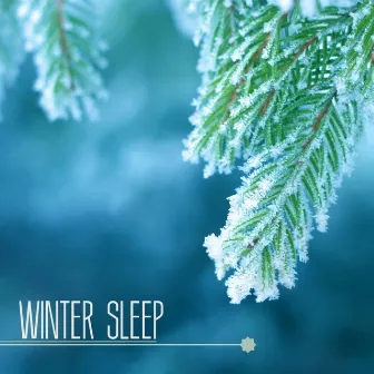 Winter Sleep - Sleepy Music to Relax With Nature Sleepy Sounds & Relax Melodies by Winter Sleep Music Academy