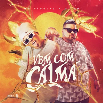 Vem Com Calma by Mc Fidelis