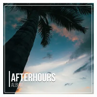 2020 Afterhours Lounge Album by Palm Analogue