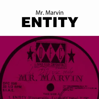 Entity by Mr. Marvin