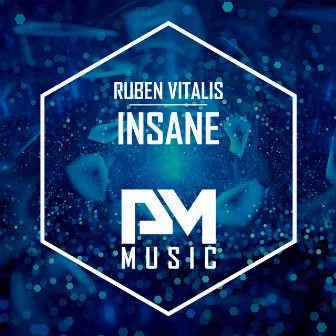 Insane (Original Mix) by Ruben Vitalis